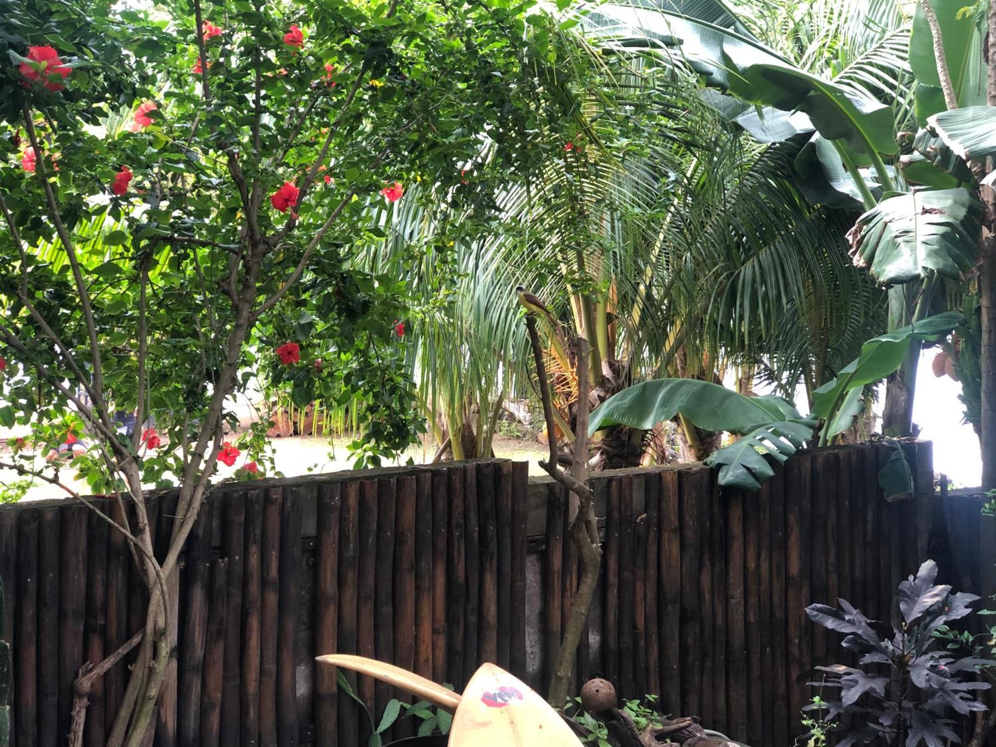 El Marabu Chill'N Surf Bed & Breakfast Aposentillo Eksteriør bilde