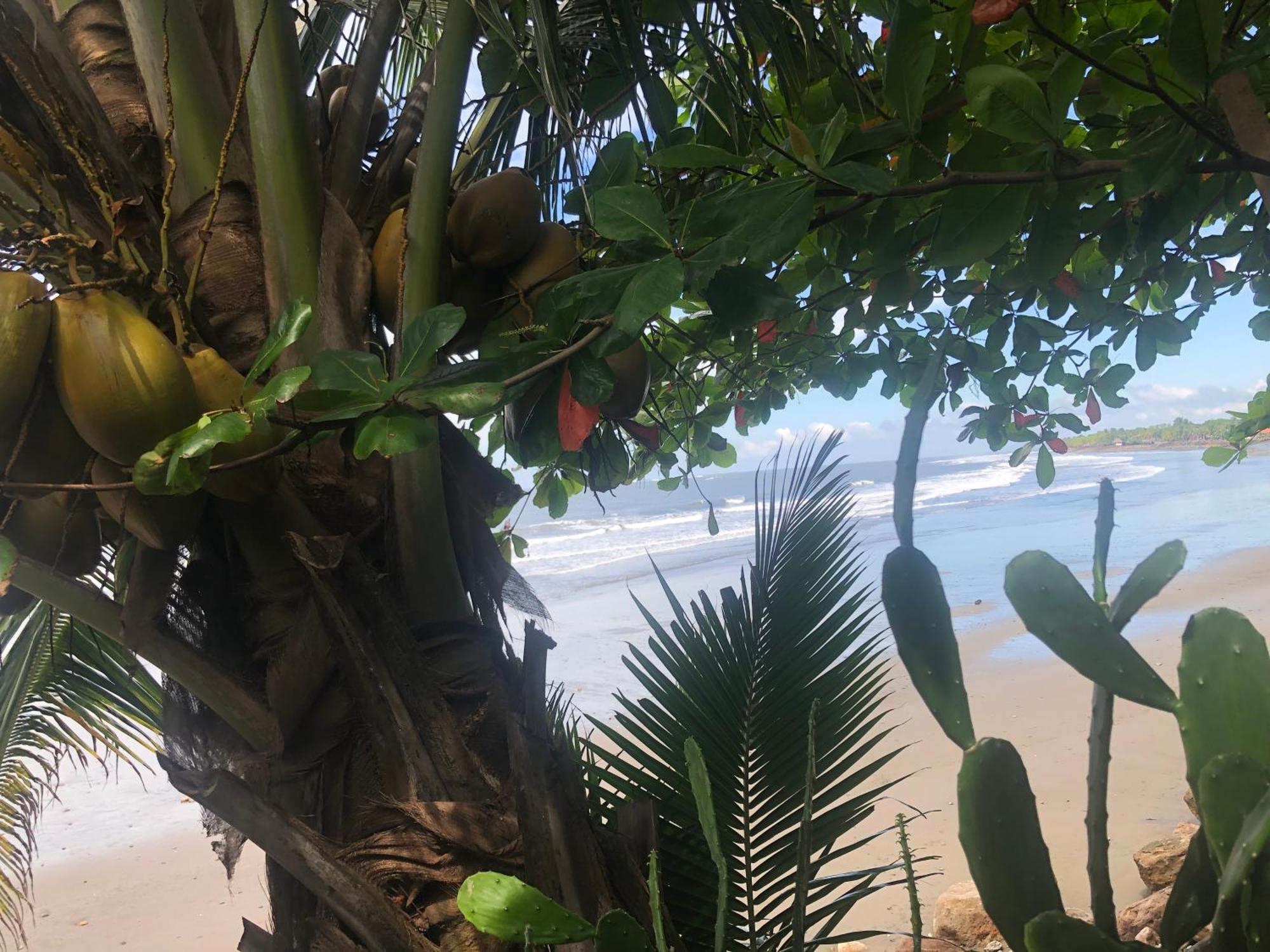 El Marabu Chill'N Surf Bed & Breakfast Aposentillo Eksteriør bilde